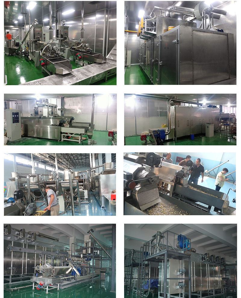 Automatic Industrial Breakfast Cereal Corn Flakes Making Machinery equipment